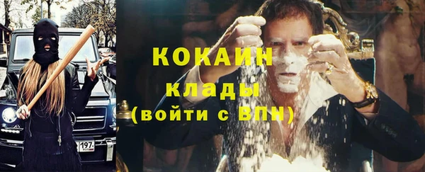 ПСИЛОЦИБИНОВЫЕ ГРИБЫ Арсеньев