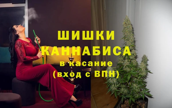 ПСИЛОЦИБИНОВЫЕ ГРИБЫ Арсеньев